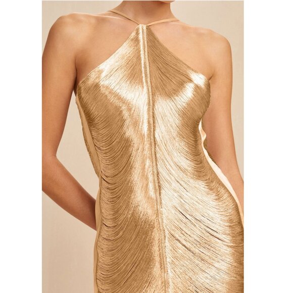 Cult Gaia Mara Draped Silk Fringe Mini Halter Dress - Picture 9 of 13